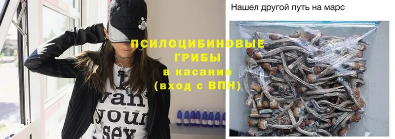 Псилоцибиновые грибы Magic Shrooms  Кировск 