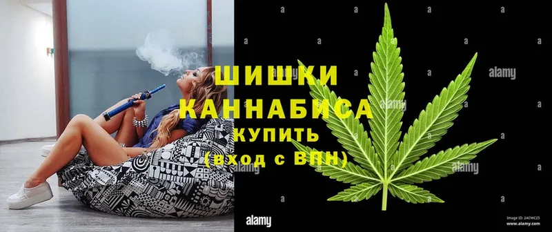 Бошки марихуана White Widow  продажа наркотиков  Кировск 